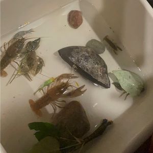 Meet your Posher, Matt